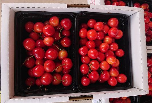 せいちゃんの紅秀峰(べにしゅうほう)7月上旬〜中旬頃配送