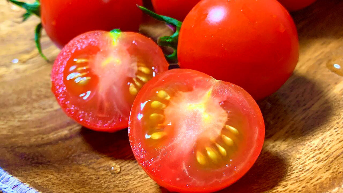 濃い味トマト（フルティカトマト）※5月10日〜配送開始予定
