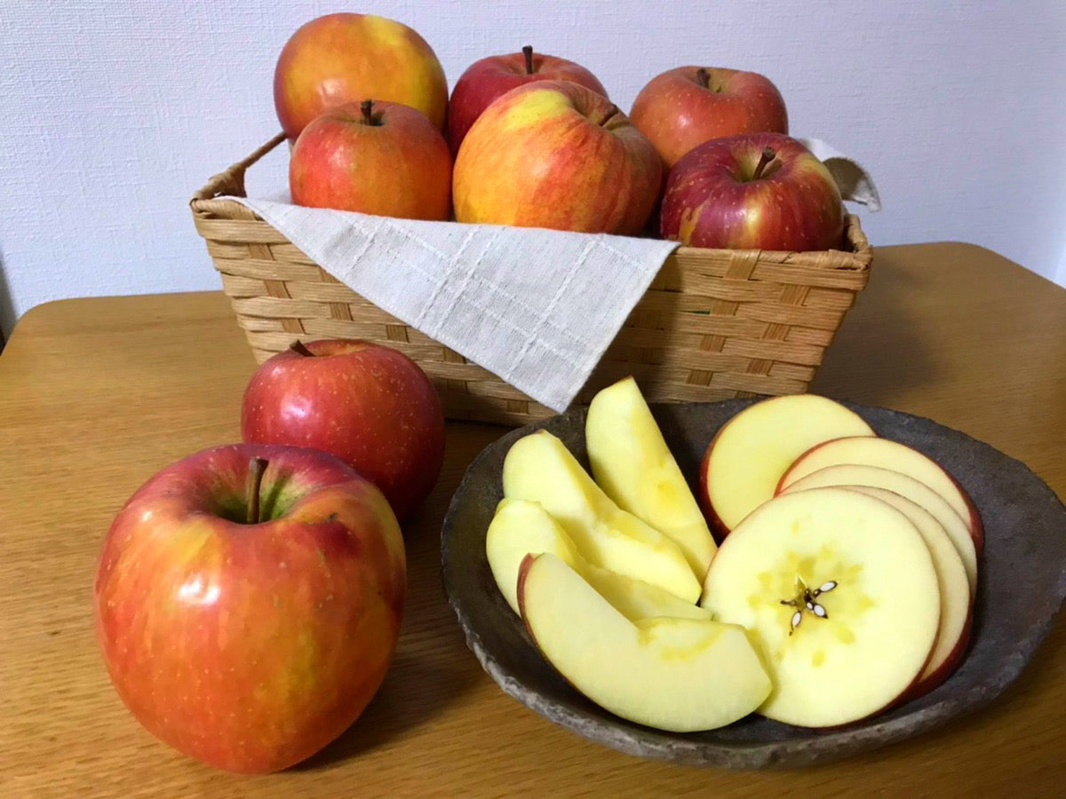 青森県の塩崎さんが作るフジりんご【ご家庭向け】
