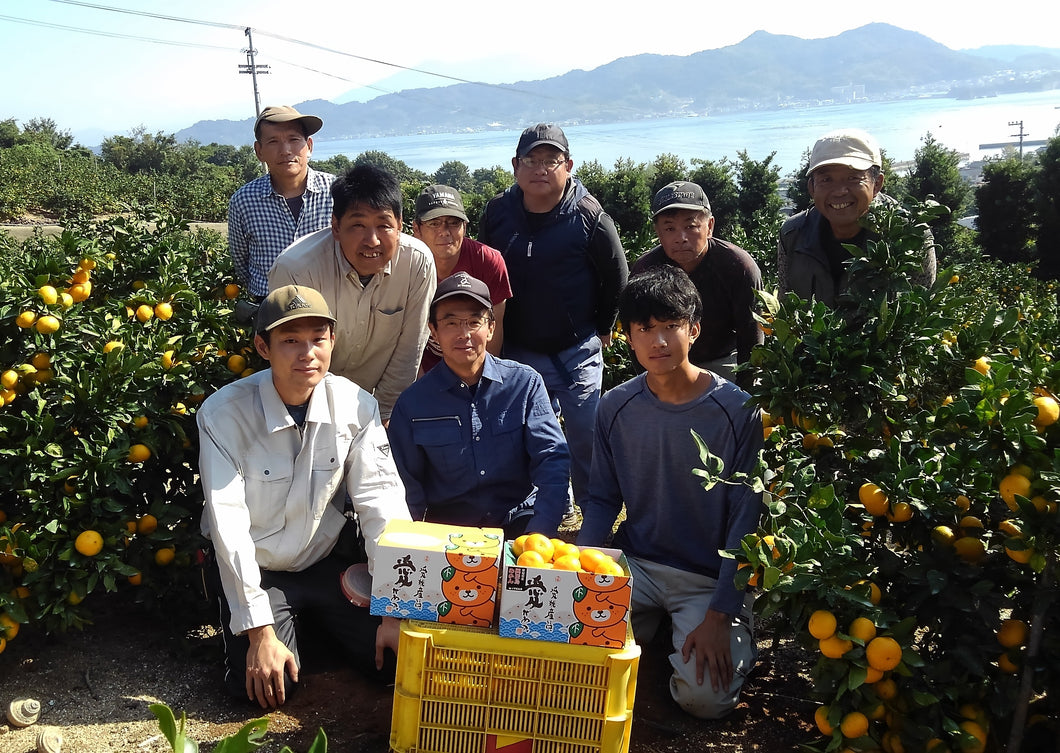 興居島みかん（S/Mサイズ）【赤秀・青秀】※11月20日頃から配送