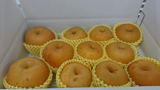 【訳あり】雹害の中生き残った梨「幸水」