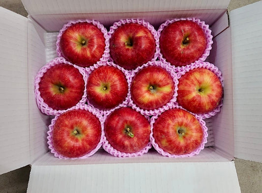 陽光(りんご)【雹害訳あり】